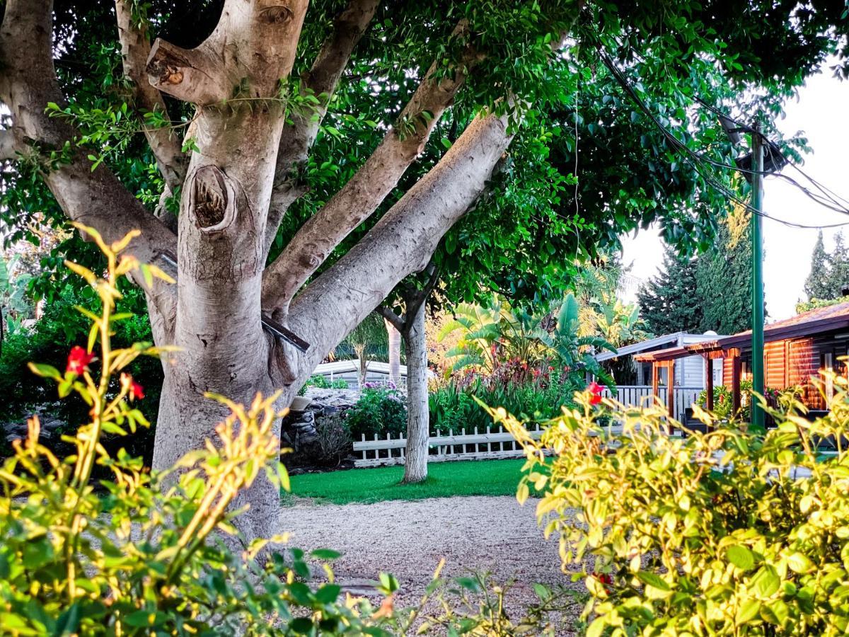 Etzel Tami Hospitality Ξενοδοχείο Neot Golan Εξωτερικό φωτογραφία